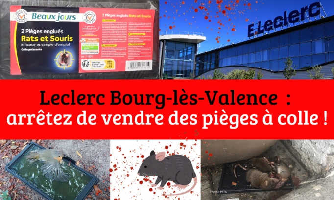Leclerc Bourg-Lès-Valence (26), cessez de vendre des pièges à colle
