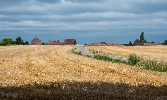 Pour des aménagements réels de sécurité routière dans notre rue de Bon Conseil