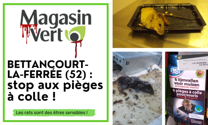 Magasin vert de Bettancourt-la-Ferrée (52), cessez de vendre des pièges à colle !