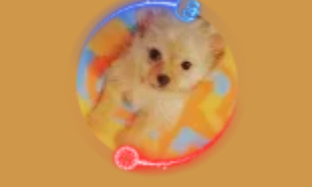 Dono ait une bonne connexion