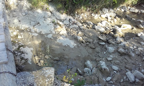 Ne laissons pas mourir notre rivière le Lauzon et son éco-système