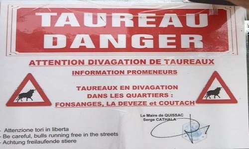 Pétition pour l'évacuation des taureaux de Quissac