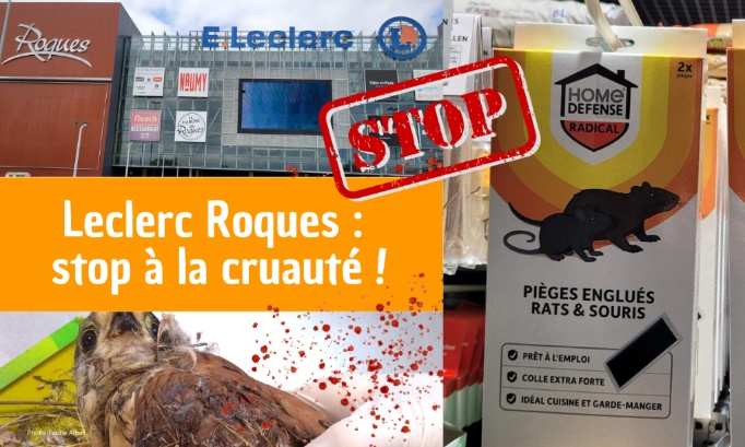 Pour le retrai des pièges à colle au Leclerc de Roques (31)