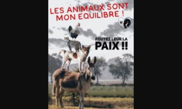 Interdisons les abattoirs