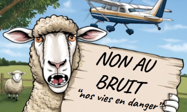 Les Frontonnais disent non à l'aérodrome !