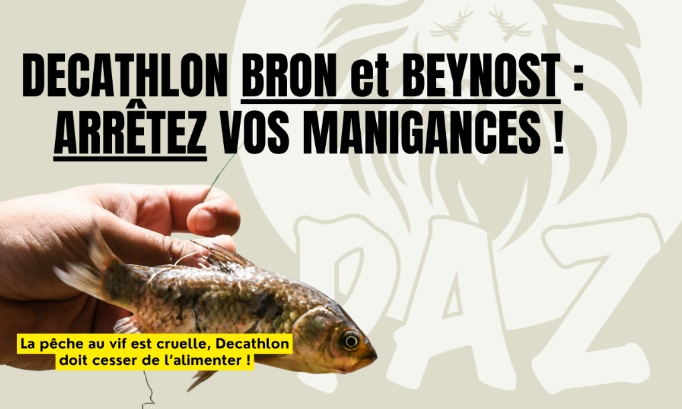 Decathlon Bron & Beynost : arrêtez de vendre des poissons vivants, même sur commande !