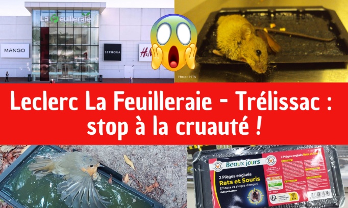 Leclerc La Feuilleraie - Trélissac : stop à la cruauté