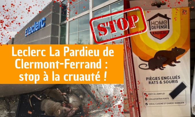 Leclerc La Pardieu - Clermont-Ferrand : stop à la cruauté