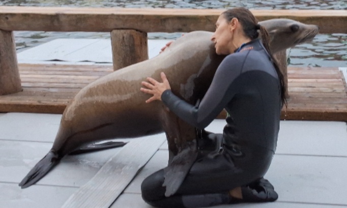 Il faut sauvez marineland pour le bien &ecirc;tre des animaux dauphins orques otaries phoques requins pingouins manchots flamants poissons coraux extera pour la r&eacute;ouverture du parc embl&eacute;matique 1970 dans le monde narins