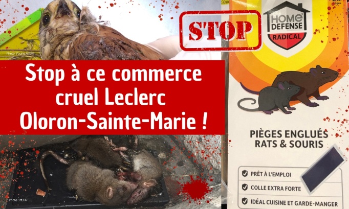 Leclerc Oloron-Sainte-Marie