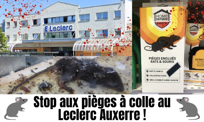 Stop aux pièges à colle au Leclerc d'Auxerre