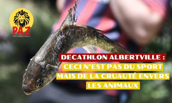 Decathlon Albertville : ceci n’est pas du sport, mais de la cruauté envers les animaux