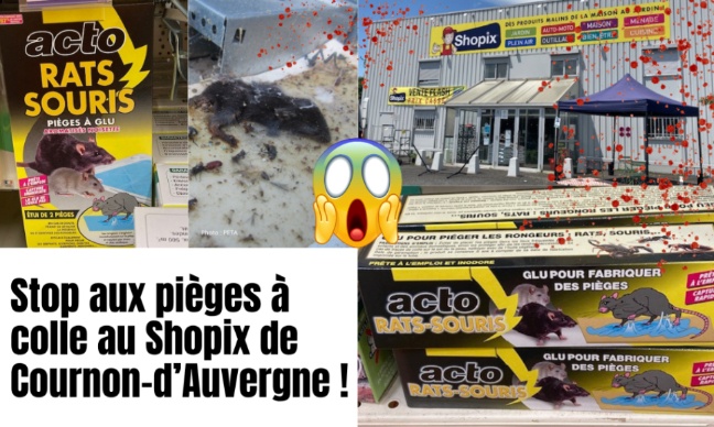 Shopix Cournon d'Auvergne : Stop aux pièges à colle !