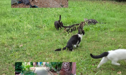 Aide stérilisation et au soin