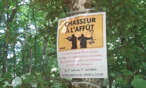 Stop à la chasse en été dans le bois d'Hautvillers