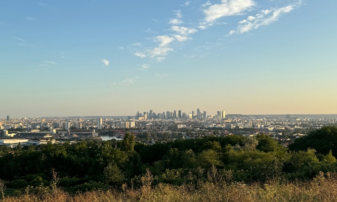 Pour un meilleur entretien de la Butte d'Orgemont à Argenteuil