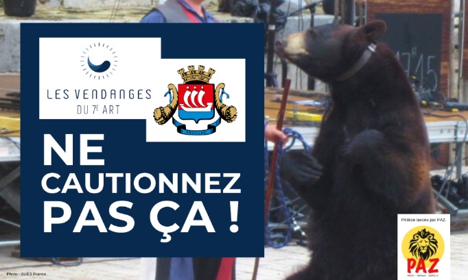 Pas de promotion pour un film qui a exploité l’ours Valentin !