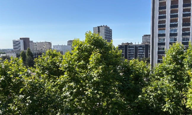 Élagage des arbres de l’avenue Léon Paul fargues