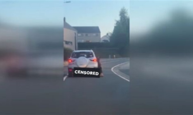 Justice pour le chien traîné par une voiture à Visé