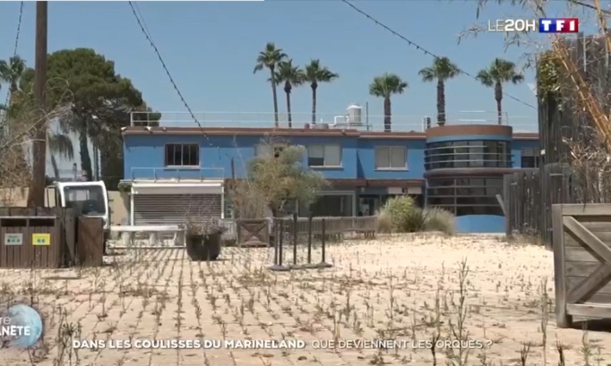 Pour remettre en état le Marineland