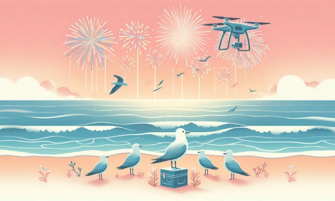 Pour une alternative aux feux d'artifice à Cannes