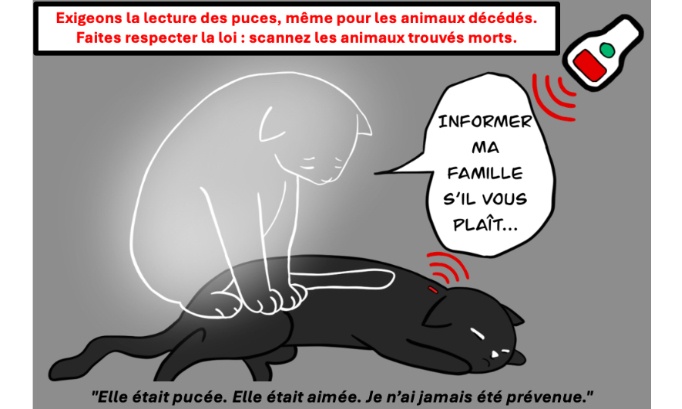 Pour la lecture obligatoire des puces électroniques sur tous les animaux décédés ramassés