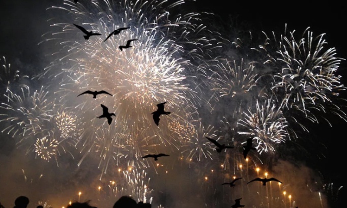 Pour une fête sans souffrance : stop au feu d'artifice écocide d'Annecy
