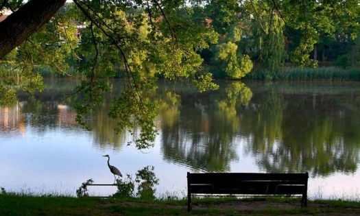Pour la destitution de l’aappma l’ablette de Creutzwald