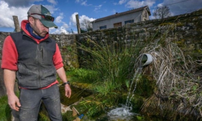 Privés d'eau : une famille rurale et ses chevaux en danger