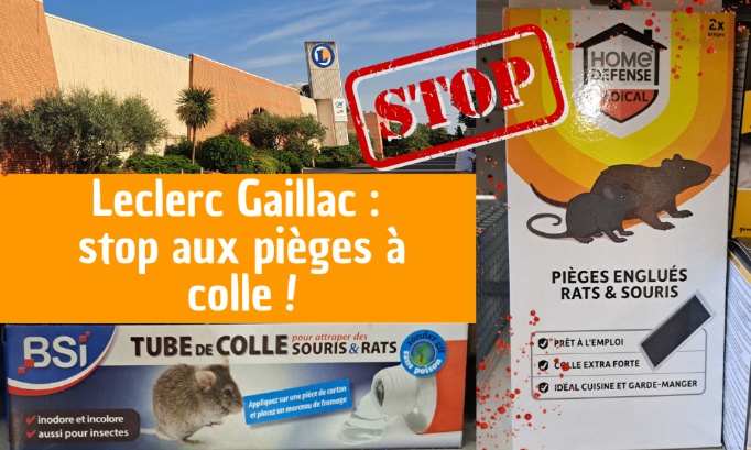 Stop aux pièges à colle au Leclerc Gaillac (81)