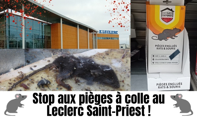 Non aux pièges à colle au Leclerc Saint-Priest