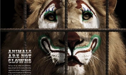 Pour la fermeture immédiate du zoo du Jardin d’Essai (Alger) : assez de torture animale.