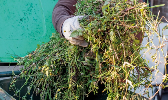 Toulouse : pour le ramassage des déchets verts