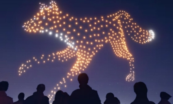 Stop aux feux d'artifices (animaux et environnement)