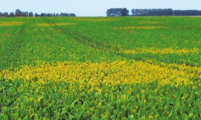 Oui à la loi Duplomb : avec bon sens, vérités et sans idéologie !