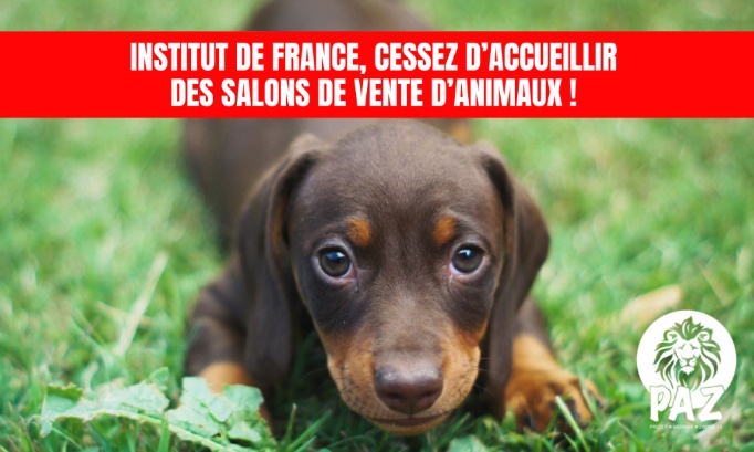 Institut de France : stop au salon du chiot !