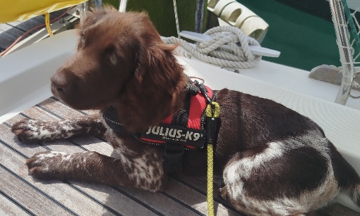 Non à la vente du bateau !