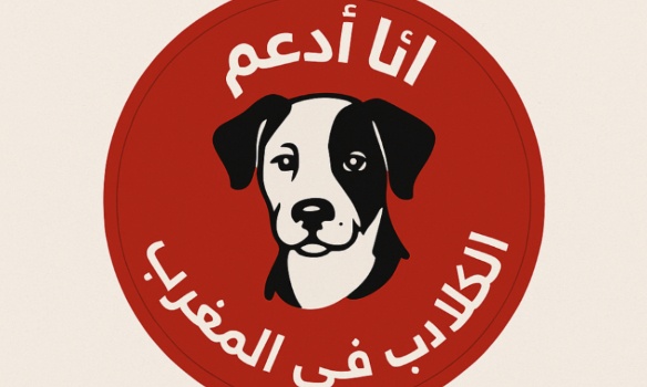 Stop au massacre des chiens au Maroc