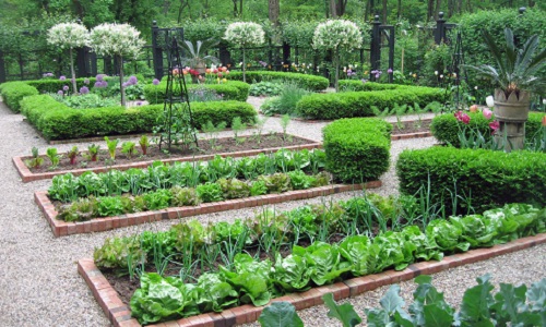 Pour la suppression de la taxe sur le potager qui n’existe pas