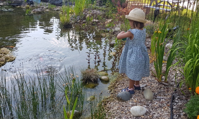 Marie arrachée à sa famille d'accueil, pour la reconnaissance des liens affectifs durable