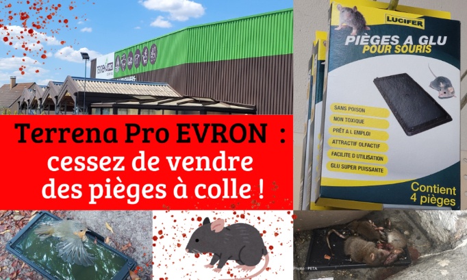 Terrena Pro Evron, cessez de vendre des pièges à colle !
