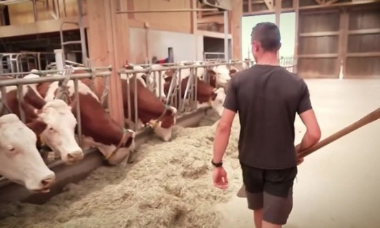 L'abattage systématique n'est ni une solution durable ni respectueuse du travail des agriculteurs