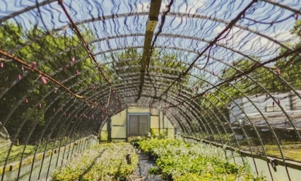 Défi populaire : Passons de Duplomb à du Bio, ensemble !