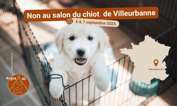 Double Mixte à Villeurbanne : demandons l’arrêt du salon du chiot prévu les 6 et 7 septembre 2025