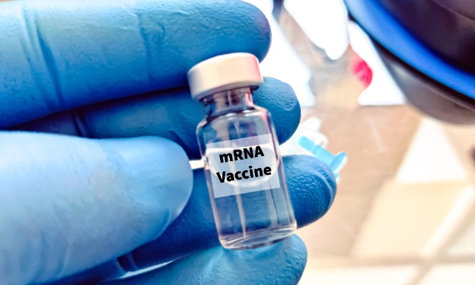 Stop à Bill Gates sur l'alimentation à ARN Messager, le dentifrice, les fils dentaires, les animaux ! Oui pour la liberté, la vérité, la paix ! Oui au bonheur pour tous !