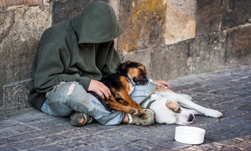 Le sans-abri et son complice (animal)