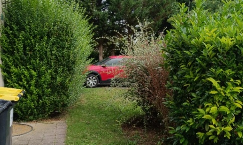 Espaces verts non entretenu quartier des Aulnes Vernou-sur-Brenne