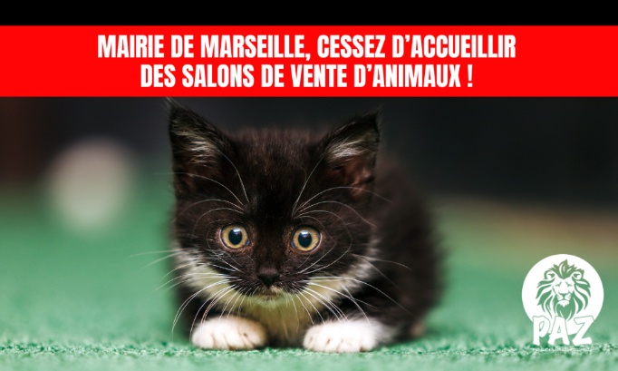 Mairie de Marseille :  stop au salon Animal Mania !
