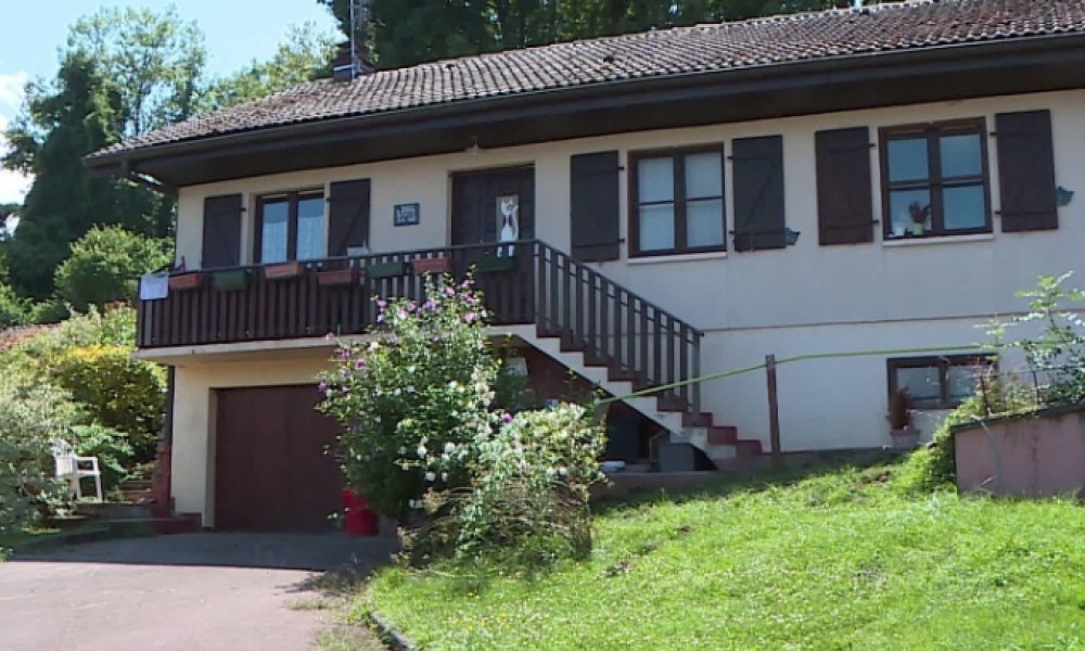 Il faut aider le Refuge du Chat Libre de Neuvecelle