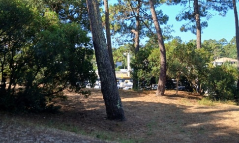 NON à la construction d'un local technique sur un espace naturel non constructible - Presqu’île de Lège-Cap-Ferret